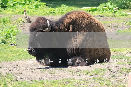 信阳弘昌被北京法院查封