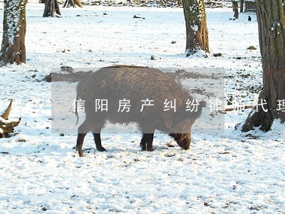 信阳房产纠纷律师代理费多少钱 信阳房产纠纷律师代理费多少钱