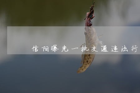 信阳曝光一批交通违法行为 信阳曝光一批交通违法行为