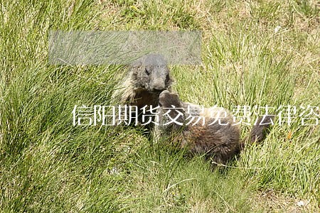信阳期货交易免费法律咨询 信阳期货交易免费法律咨询