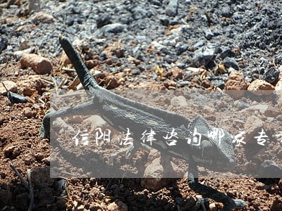 信阳法律咨询哪家专业 信阳法律咨询哪家专业