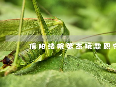 信阳法院张杰玩忽职守