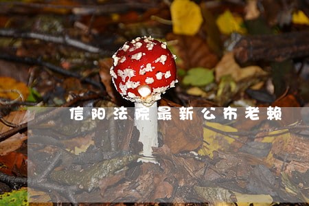 信阳法院最新公布老赖