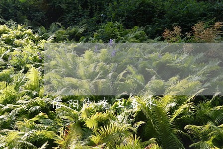 信阳法院王春水