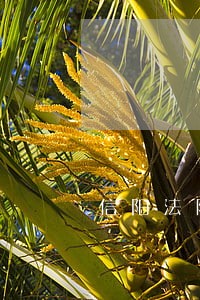 信阳法院胡维厅 信阳法院胡维厅