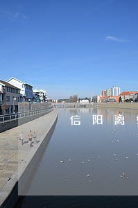 信阳离婚赔偿法律咨询 信阳离婚赔偿法律咨询