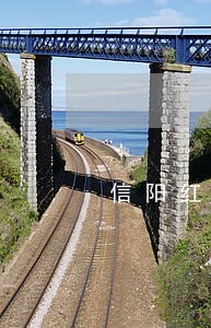 信阳红砖厂挖个人耕地违法吗