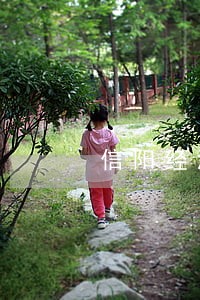 信阳经济案件律师费标准