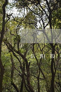 信阳股权纠纷法律咨询热线 信阳股权纠纷法律咨询热线