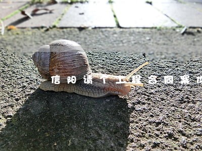 信阳请个工程合同案件律师 信阳请个工程合同案件律师