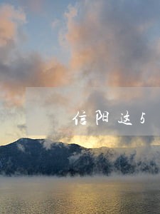 信阳这50辆车涉嫌交通违法 信阳这50辆车涉嫌交通违法