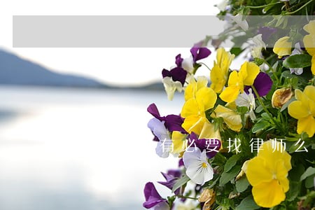 俩人打架有必要找律师么 俩人打架有必要找律师么