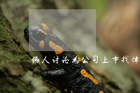 俩人讨论为公司上市找律师 俩人讨论为公司上市找律师