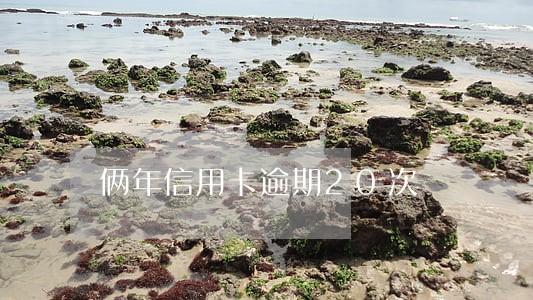 俩年信用卡逾期20次