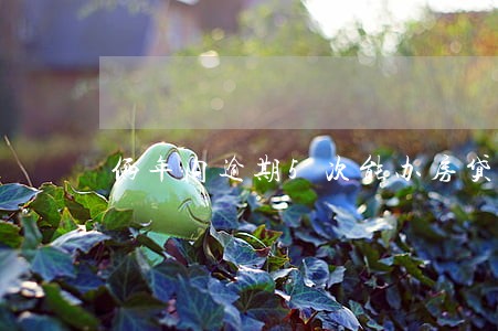 俩年内逾期5次能办房贷 俩年内逾期5次能办房贷