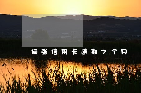 俩张信用卡逾期7个月 俩张信用卡逾期7个月
