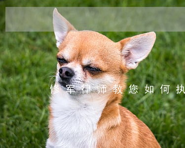修军律师教您如何执行法定代表人 修军律师教您如何执行法定代表人