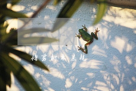 修剪树木法规 修剪树木法规