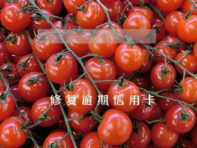 修复逾期信用卡 修复逾期信用卡