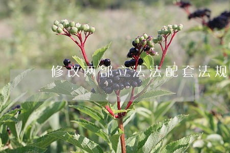 修改两部立法法配套法规 修改两部立法法配套法规