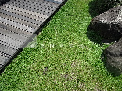 修改图章违法