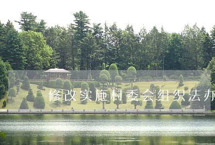 修改实施村委会组织法办法 修改实施村委会组织法办法