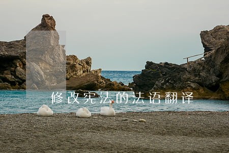 修改宪法的法语翻译 修改宪法的法语翻译