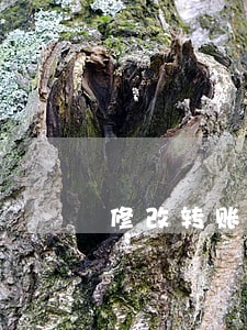 修改转账记录违法吗 修改转账记录违法吗