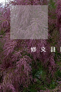 修文县民间借贷法律咨询热线 修文县民间借贷法律咨询热线