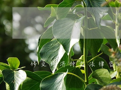 修文经济仲裁法律咨询律师 修文经济仲裁法律咨询律师
