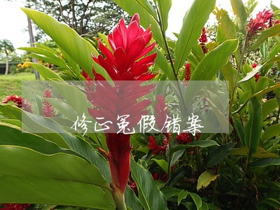 修正冤假错案 修正冤假错案