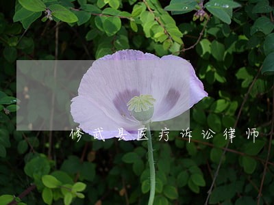 修武县医疗诉讼律师 修武县医疗诉讼律师