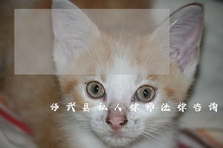 修武县私人律师法律咨询热线 修武县私人律师法律咨询热线
