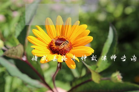 修武县经济仲裁律师咨询电话