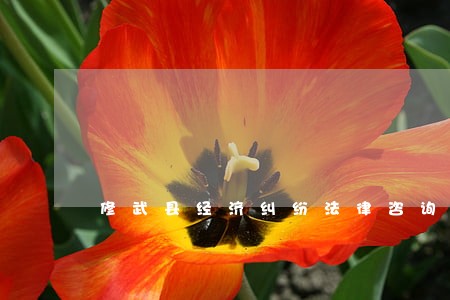 修武县经济纠纷法律咨询 修武县经济纠纷法律咨询