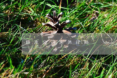 修水公司法务律师 修水公司法务律师