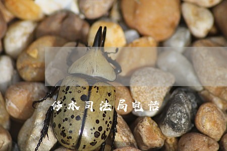 修水司法局电话