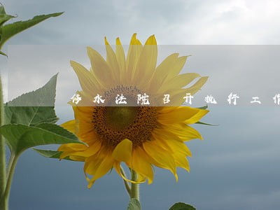 修水法院召开执行工作新闻发布会