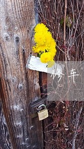 修车后付款到法院可以起诉吗 修车后付款到法院可以起诉吗