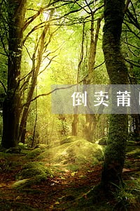 倒卖莆田鞋违法吗 倒卖莆田鞋违法吗