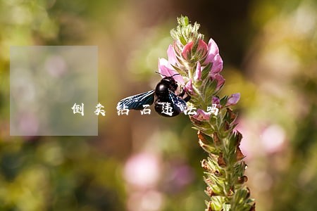 倒卖钻石违法吗 倒卖钻石违法吗