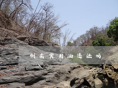 倒卖食用油违法吗 倒卖食用油违法吗