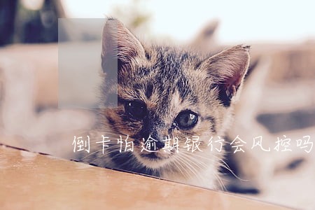 倒卡怕逾期银行会风控吗 倒卡怕逾期银行会风控吗