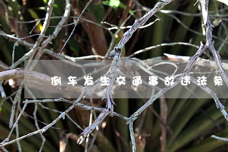 倒车发生交通事故违法条款 倒车发生交通事故违法条款