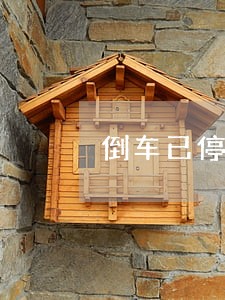 倒车已停止被撞 倒车已停止被撞