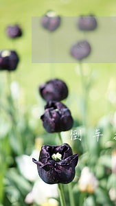 倒车撞到后车没有痕迹 倒车撞到后车没有痕迹
