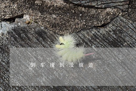 倒车撞到没痕迹 倒车撞到没痕迹