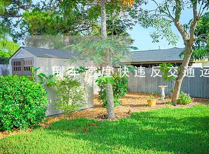 倒车速度快违反交通运输法规 倒车速度快违反交通运输法规