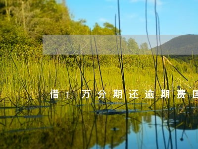 借1万分期还逾期费国家怎么算的 借1万分期还逾期费国家怎么算的