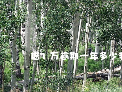 借1万逾期一年多少利息 借1万逾期一年多少利息